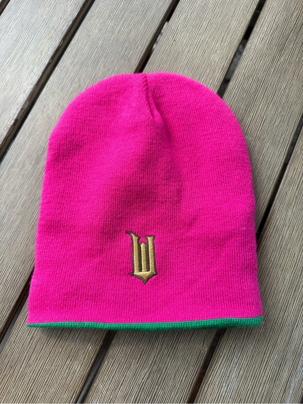 Wicked Reversible Pink Green Knit Beanie Gold W Logo Musical Movie Hat